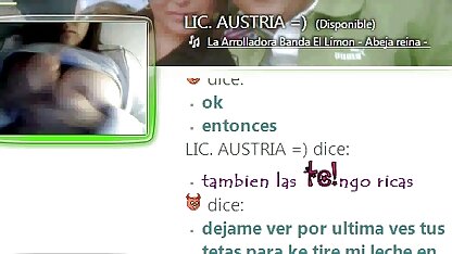 彼のウェブカメラ。オーストリア-サイドtulancingoメキシコ