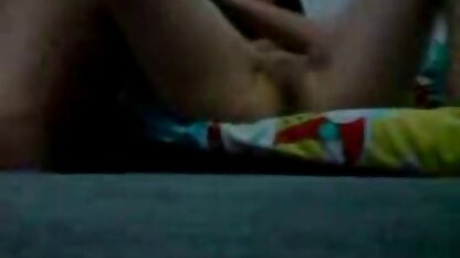 大きな猫の素人