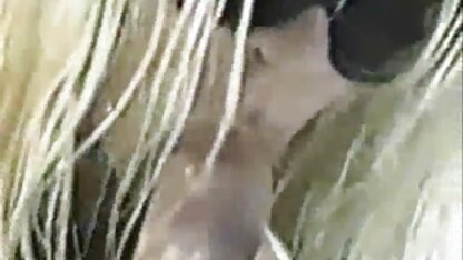 セレブフェラ, 正常 位 エロ 動画