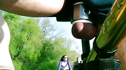 自転車の上に二匹の猫。 無料 セックス 外国 人